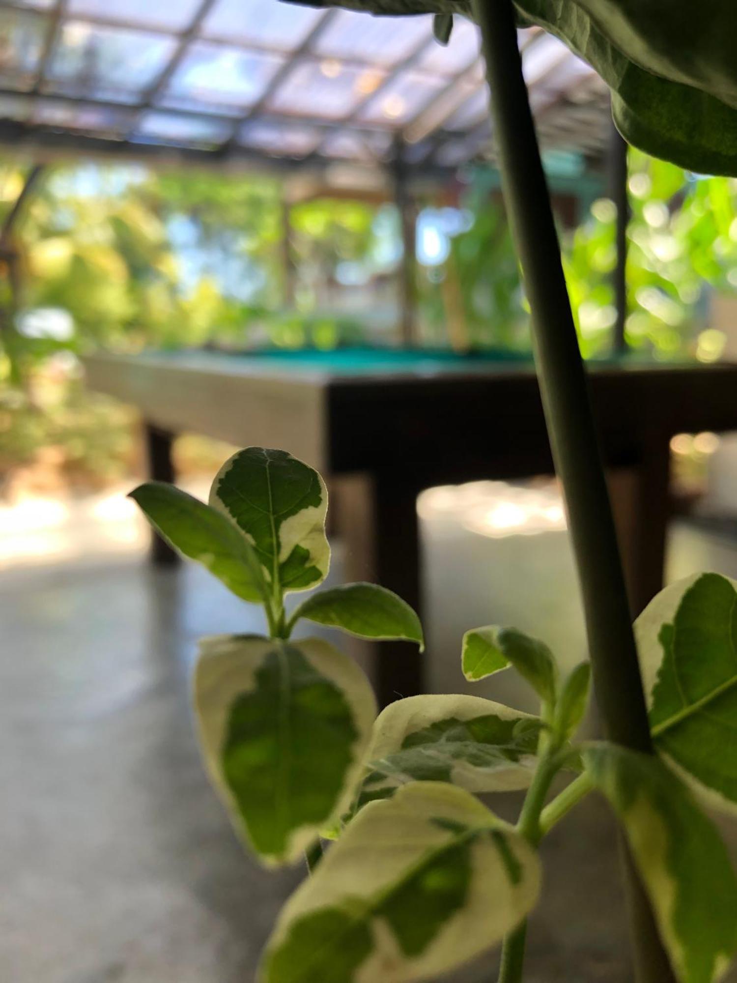 Wae Molas Hotel Labuan Bajo Εξωτερικό φωτογραφία